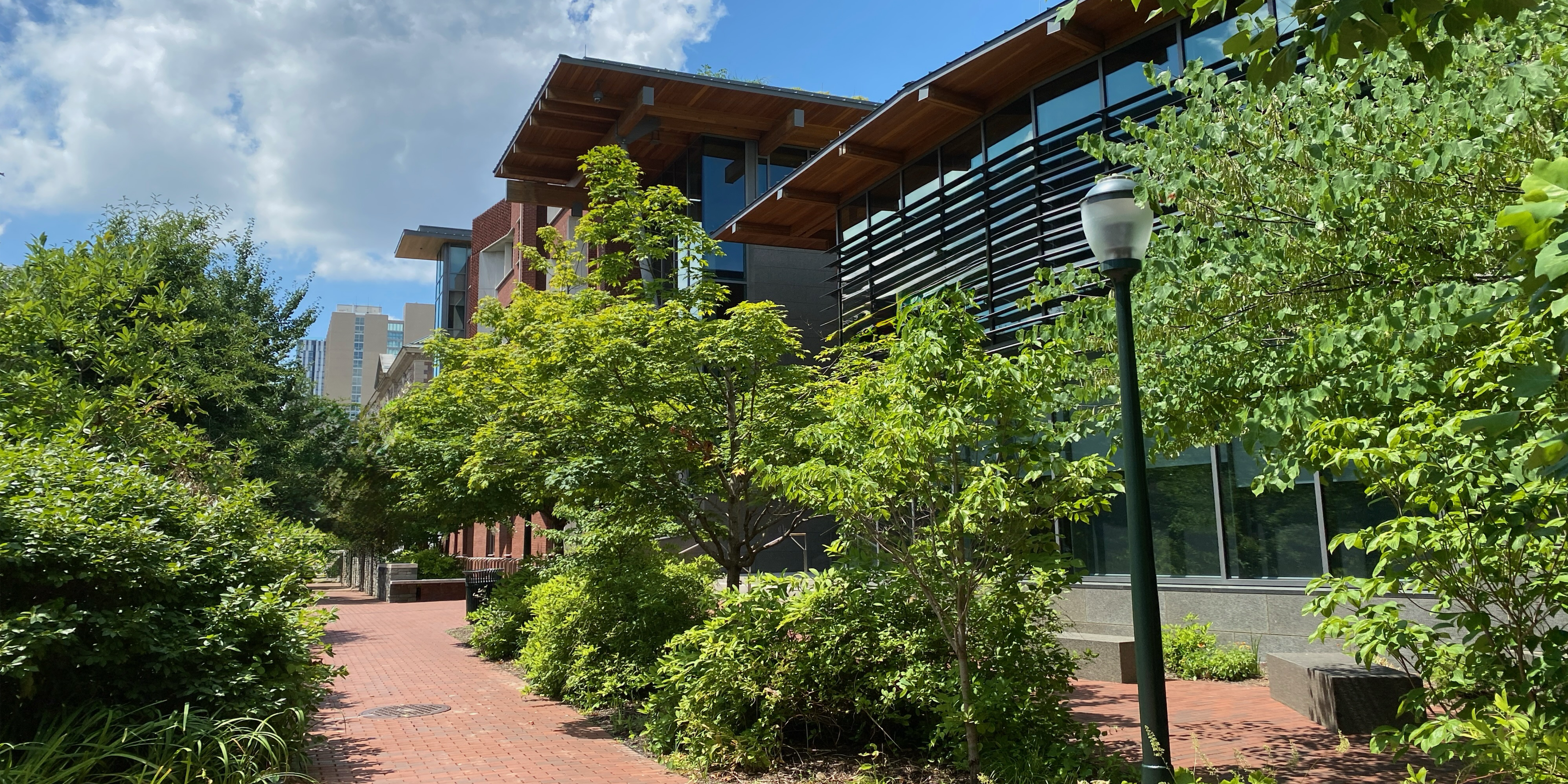 university retail district or campus master planning